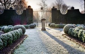 The Sundial Garden - Highgrove in winter.jpg